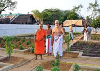 thiruvallur temple , Sri Veeraraghava Swamy Temple , Goshala , donation