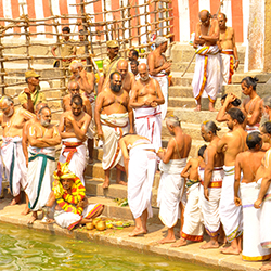 thiruvallur temple , Sri Veeraraghava Swamy Temple , Goshala