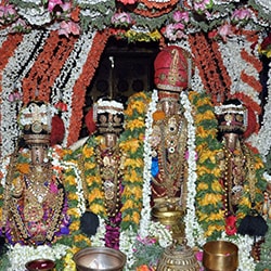 thiruvallur temple , Sri Veeraraghava Swamy Temple , Goshala