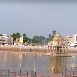 thiruvallur temple , Sri Veeraraghava Swamy Temple , Goshala